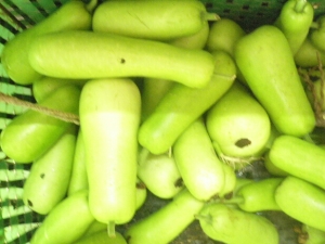 �׹ϵ�Ӫ����ֵ �׹ϵ����� �׹ϵĹ�Ч