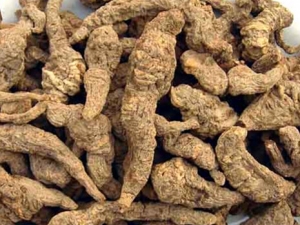 ������Ѫ����Ӫ������ ��Ӫ������ ��Ӫ���Ӽ�