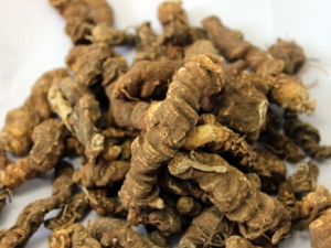 ���������� ��������Ч ���Ƚⶾ