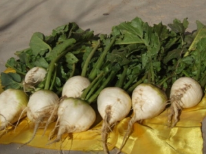 ǡ��ŵ�Ӫ����ֵ ǡ��ŵ�ҩ�ü�ֵ