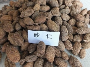 ɰ����ʲô ɰ�ʵĹ�Ч������ ɰ�ʵ�ʳ�÷���