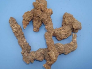 ����ɢ���� ����ɢ���� ����ɢ���Լ�����