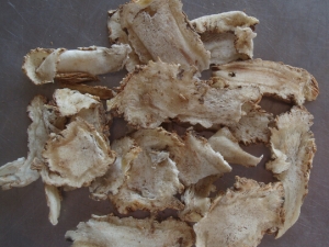 �������Ĺ�Ч������ ����������