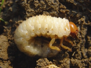 ����ݳ��账�� ����ݳ������������