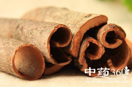 <a href='https://www.zhongyao360.com/z/rougui/' target='_blank'></a>ƤĹЧ <a href='https://www.zhongyao360.com/z/guipi/' target='_blank'>Ƥ</a>ĸüʳ÷