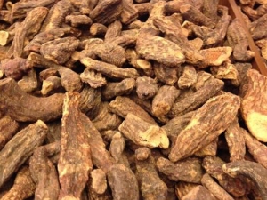 ͸�ǵ��ε���������֫���� ͸�ǵ�����