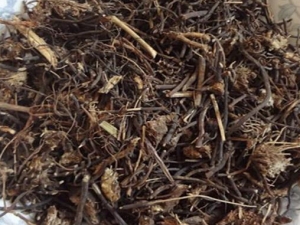 �����ɵĹ�Ч�����ü��ٴ�Ӧ��