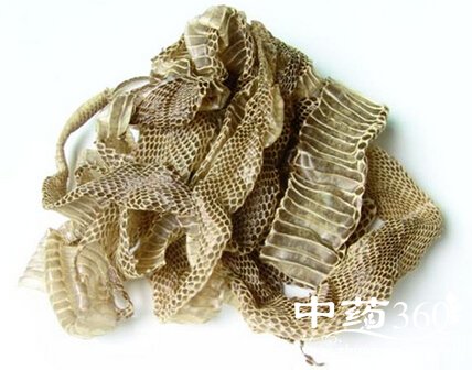<a href='https://www.zhongyao360.com/z/shetui/' target='_blank'>蛇蜕</a>的功效与作用 中药蛇蜕的药用价值