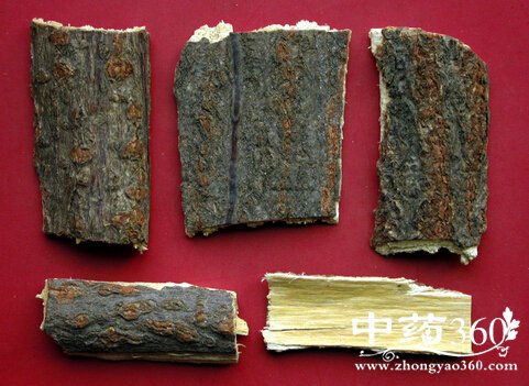 <a href='https://www.zhongyao360.com/z/hehuanpi/' target='_blank'>ϻƤ</a>