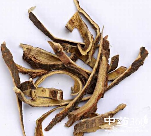 <a href='https://www.zhongyao360.com/z/hehuanpi/' target='_blank'>ϻƤ</a>ĸ