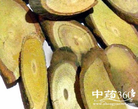 <a href='https://www.zhongyao360.com/z/huangteng/' target='_blank'></a>ĹЧ ٵҩ