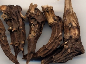 ����絤���� ����絤��Ч ����絤����