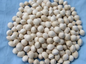 �׹���ֹ��ƽ������ҩ�ʯ