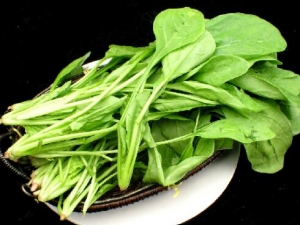 �Բ�����ʲô�ô� �Բ��˵Ľ���