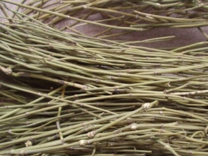 ѹɢ ѹɢЧ ѹɢٴӦ