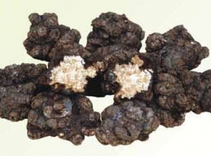 ������ҩ��ʶ�𷽷�