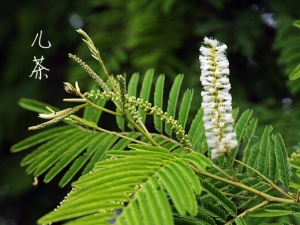 �����Ͻ𵤴��� �����Ͻ𵤹�Ч �����Ͻ𵤷���