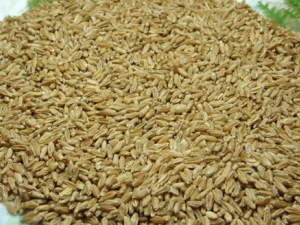 ʲô��θ�� ����θ�����ط�