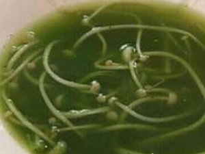 �̲���������� �̲�������ô���ó�