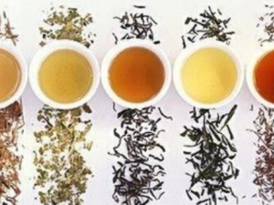 �ϻ��Ϊ�ļ��� �Ļ�θ��λ�λ�����