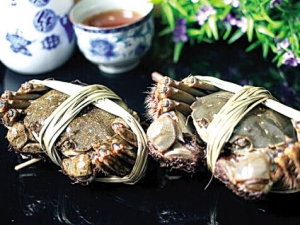 ʳ����º��� ����С����