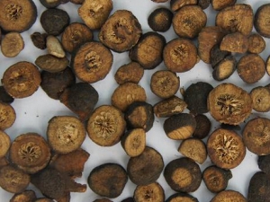 ����������� ���������Ч �����������