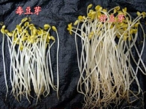 ����ѿ��μ��� �����ѡ��ȫ��ѿ