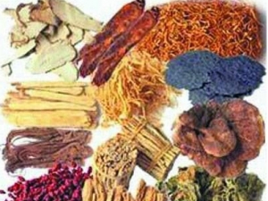 �ж�ҩ�ĸ���ľ������