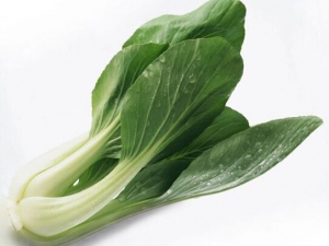 上海青的营养价值及功效与作用 上海青的挑选及保存