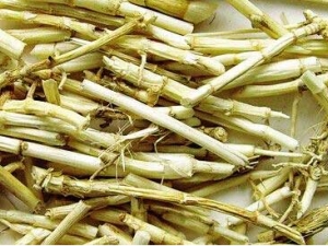 έ�������� έ������Ч έ������������