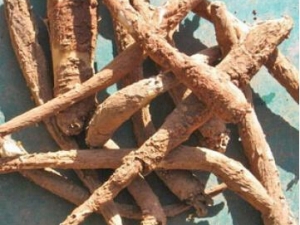 ����ߵĹ�Ч�����ü���ζ�龭