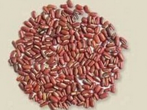 胰腺炎患者的营养食谱 治疗胰腺炎的偏方