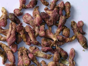 ����Ĺ�Ч �δ�Ϣ�����˿���������