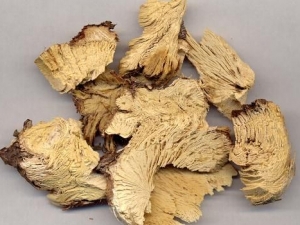 ��ҩ��Ƹ�ֹ�� ��Ƹ��ĸ��� ��Ƹ���������