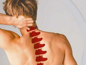 ��׵������ļ�������Щ ��׵�����������Ʒ���