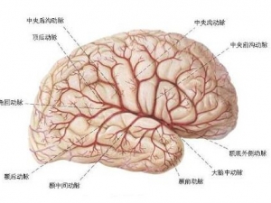 ʲô��­������ ­�����˵���ʳ����