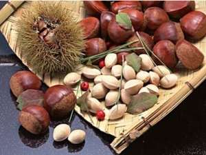 ǽô ǽʲô ֢ҩǹؼ