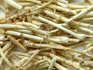 ��é���Ĺ�Ч������ ��é����ҩ�ü�ֵ