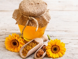 ����������ʲô ������������ָ��