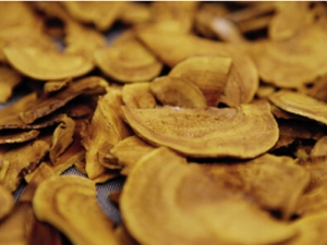 ɣ�ƵĹ�Ч������ ɣ�Ƶ�ҩ������