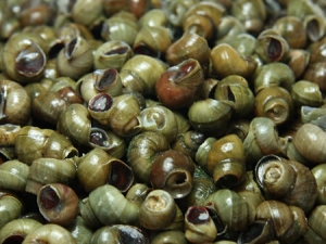 ���ϵ���ζ�龭����Ч������