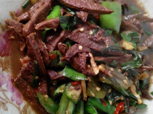 �����ӵ�����