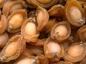 ����ɵ�����