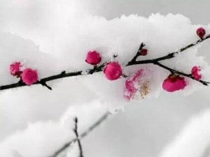 ʲô�ǵ����� ��������ʲô ��������α��ֽ���