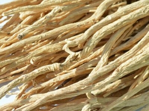 处方蚕矢汤主治霍乱吐利口渴烦躁