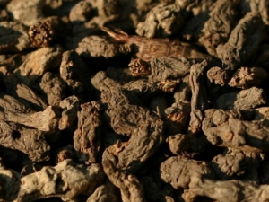 ǧ�����ʺ���ӵĹ�Ч����