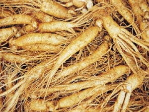 �˹���ֲ���˲γ������� �˲μ������Ԥ��