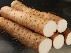 ɽҩ�Ĺ�Ч������ ɽҩ��������Ⱥ