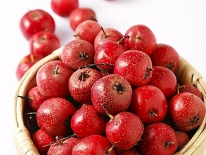 ��Ѫ����ʹ����ɽ�ʳ�Ʒ� ʹ��ʳ�Ʒ�����Щ