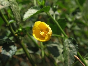 �ޱ�����ϥ�ļ��𷽷�